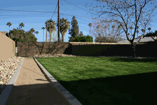 Large fenced rear yard at the Tempe house perfect for dogs