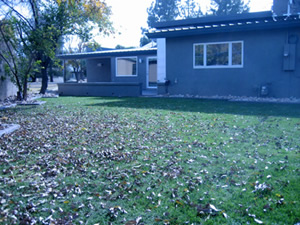 Large, landscaped rear yard on Tempe rental home