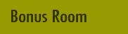 Den or Bonus Room